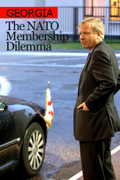 natogeorgia1.jpg